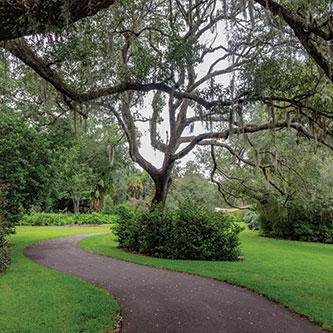 A garden path. Read about Gifts by Will A garden path. Read about Gifts by Will