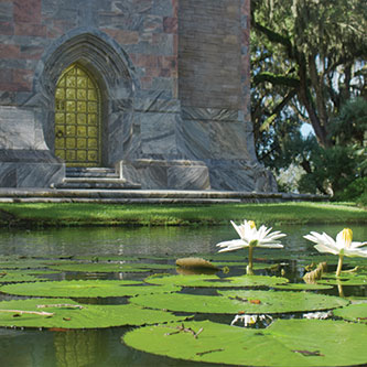 The Tower and lily pads. Read about Tangible Personal Property