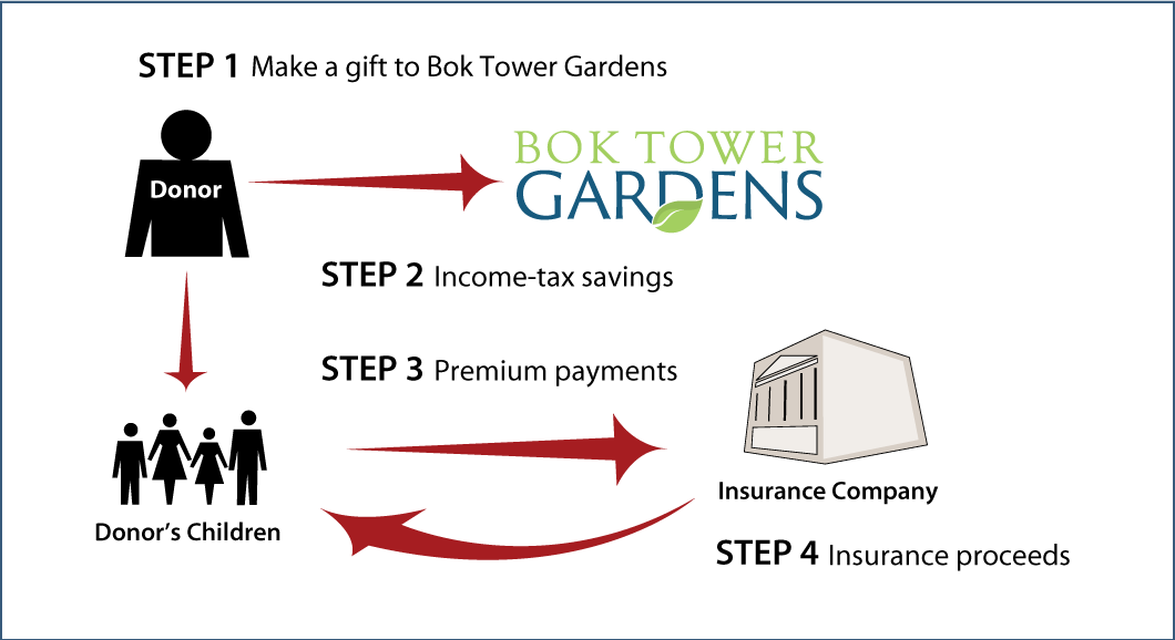 Life Insurance to Replace Gift Thumbnail